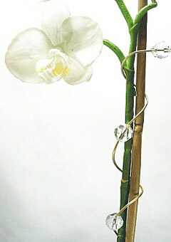 Orchideenwickler mit Swarovski Elements